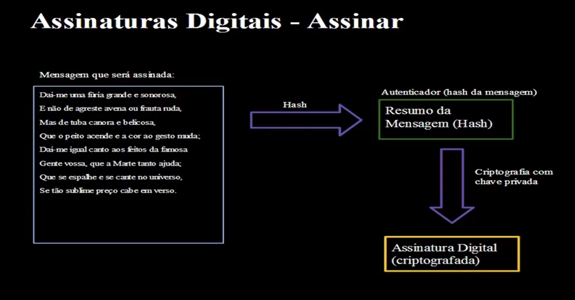 Assinaturas