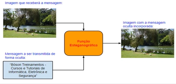 Esteganografia