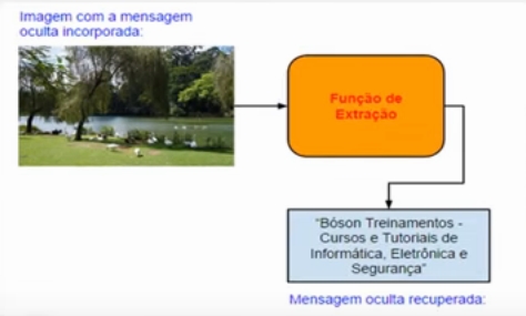 Extração